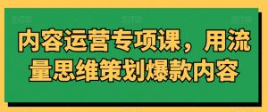 内容运营专项课，用流量思维策划爆款内容-520资源库
