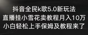 抖音全民k歌5.0新玩法，直播挂小雪花卖教程月入10万，小白轻松上手，保姆及教程来了【揭秘】-520资源库
