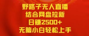 野路子无人直播结合网盘拉新，日赚2500+，小白无脑轻松上手【揭秘】-520资源库