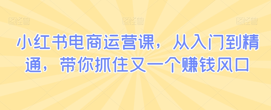 小红书电商运营课，从入门到精通，带你抓住又一个赚钱风口-520资源库
