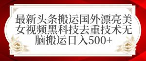 最新头条搬运国外漂亮美女视频黑科技去重技术无脑搬运日入500+【揭秘】-520资源库