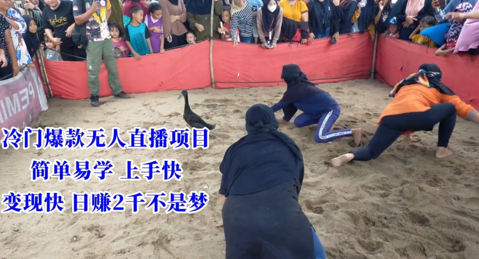 冷门爆款无人直播项目，简单易学上手快，变现快日赚2千不是梦【揭秘】-520资源库