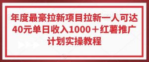 年度最豪拉新项目拉新一人可达40元单日收入1000＋红薯推广计划实操教程【揭秘】-520资源库