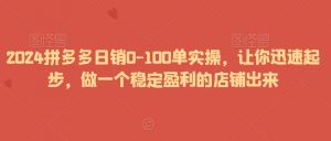 2024拼多多日销0-100单实操，让你迅速起步，做一个稳定盈利的店铺出来-520资源库