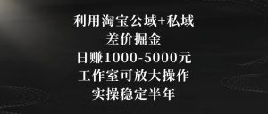 利用淘宝公域+私域差价掘金，日赚1000-5000元，工作室可放大操作，实操稳定半年【揭秘】-520资源库