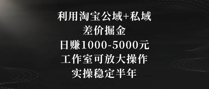 利用淘宝公域+私域差价掘金,日赚1000-5000元,工作室可放大操作,实操稳定半年【揭秘】-520资源库