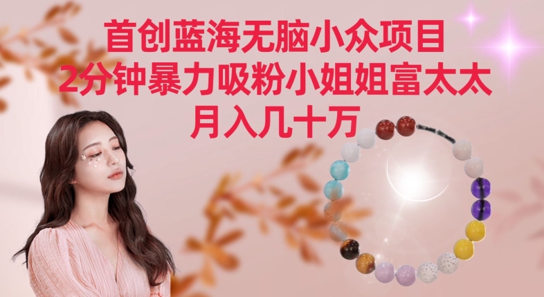 首创蓝海无脑小众项目，2分钟暴力吸粉小姐姐富太太，月入几十万【揭秘】-520资源库