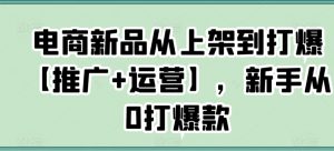 电商新品从上架到打爆【推广+运营】，新手从0打爆款-520资源库