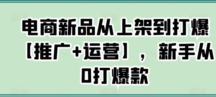 电商新品从上架到打爆【推广+运营】，新手从0打爆款-520资源库