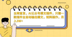 全网首发，AI公众号爆文插件，只需一款插件全自动输出爆文，矩阵操作，月入3W+【揭秘】-520资源库