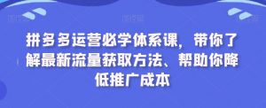 拼多多运营必学体系课，带你了解最新流量获取方法、帮助你降低推广成本-520资源库