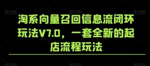 淘系向量召回信息流闭环玩法V7.0,一套全新的起店流程玩法-520资源库