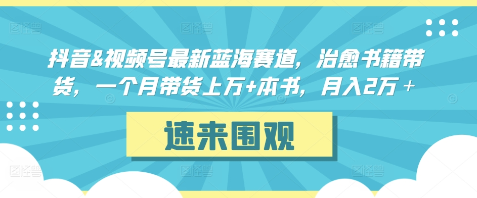 抖音&视频号最新蓝海赛道，治愈书籍带货，一个月带货上万+本书，月入2万＋【揭秘】-520资源库