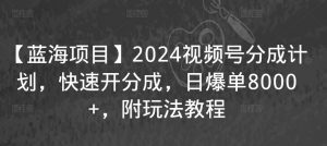 【蓝海项目】2024视频号分成计划，快速开分成，日爆单8000+，附玩法教程-520资源库