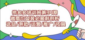 拼多多培训班第34期：做高价女装必盈利剖析选品/测款/运营/推广/拓展-520资源库