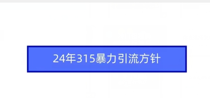 24年315暴力引流方针-520资源库