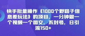 快手批量操作《1000个野路子信息差玩法》的项目，一分钟做一个视频一个图文，不封号，日引流150+【揭秘】-520资源库