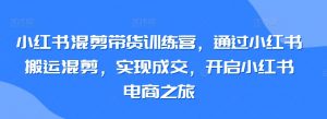 小红书混剪带货训练营，通过小红书搬运混剪，实现成交，开启小红书电商之旅-520资源库