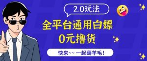 外面收费2980的全平台通用白嫖撸货项目2.0玩法【仅揭秘】-520资源库