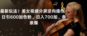 最新玩法！美女视频分屏逆向操作~日引600加色粉，日入700加，条条爆【揭秘】-520资源库
