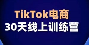 TikTok电商带货30天线上课，不可错过的全球流量洼地！-520资源库