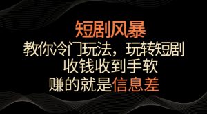 短剧风暴，教你冷门玩法，玩转短剧，收钱收到手软【揭秘】-520资源库