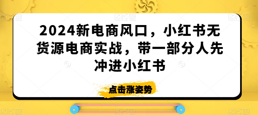 2024新电商风口，小红书无货源电商实战，带一部分人先冲进小红书-520资源库
