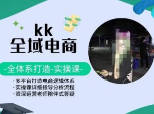 KK全域电商，全体系打造实操课，多平台打造电商逻辑体系-520资源库