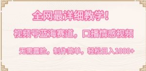 全网最详细教学，视频号蓝海赛道，口播情感视频，无需露脸，制作简单，轻松实现日入1000+【揭秘】-520资源库