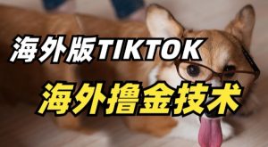 抖音海外版tiktok撸金技术，这个风口行业，赚钱真的不难【揭秘】-520资源库