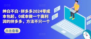 拼多多2024零成本包起，0成本做一个高利润的拼多多，方法不只一个-520资源库