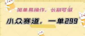 小众赛道，一单299.简单易操作，长期可做【揭秘】-520资源库