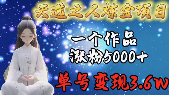 天选之人炼金项目，一个作品涨粉5000+，单号变现3.6w【揭秘】-520资源库