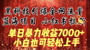 蓝海项目!黑科技引爆全网流量小红书拉新，单日暴力收益7000+，小白也能轻松上手【揭秘】-520资源库