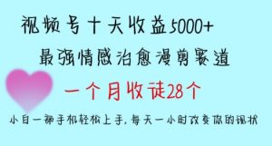 十天收益5000+，多平台捞金，视频号情感治愈漫剪，一个月收徒28个，小白一部手机轻松上手【揭秘】-520资源库
