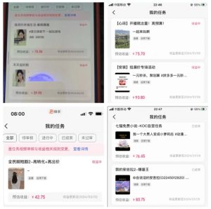 2024年3月最新，快手磁力聚星全流程实操教学，8台手机日均收益稳定100~200元【揭秘】-520资源库