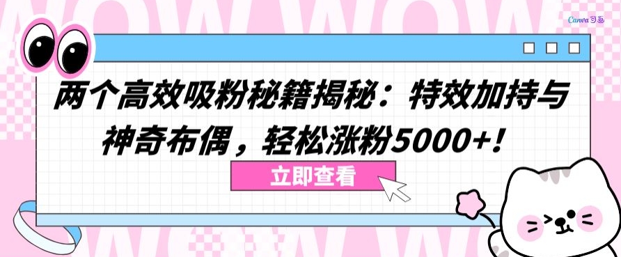 两个高效吸粉秘籍揭秘：特效加持与神奇布偶，轻松涨粉5000+【揭秘】-520资源库