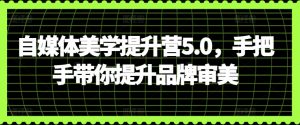 自媒体美学提升营5.0，手把手带你提升品牌审美-520资源库