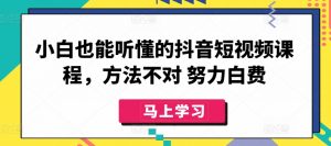 小白也能听懂的抖音短视频课程，方法不对 努力白费-520资源库