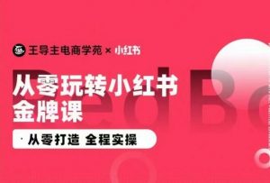 王导主·小红书电商运营实操课，​从零打造  全程实操-520资源库