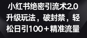 小红书绝密引流术2.0升级玩法，破封禁，轻松日引100+精准流量【揭秘】-520资源库