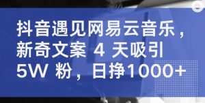 抖音遇见网易云音乐，新奇文案 4 天吸引 5W 粉，日挣1000+【揭秘】-520资源库