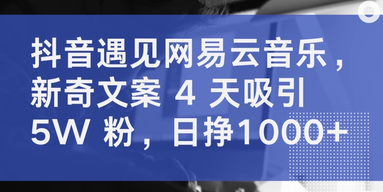 抖音遇见网易云音乐，新奇文案 4 天吸引 5W 粉，日挣1000+【揭秘】-520资源库