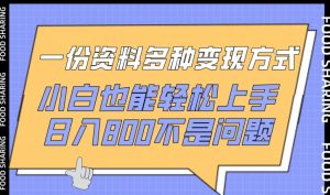 一份资料多种变现方式，小白也能轻松上手，日入800不是问题【揭秘】-520资源库