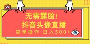 无需露脸，Ai头像直播项目，简单操作日入500+【揭秘】-520资源库