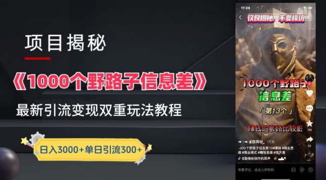 一千个野路子信息差最新玩法教程-变现+引流的玩法具体拆解【揭秘】-520资源库