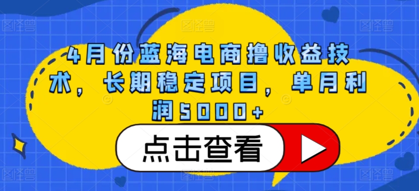 4月份蓝海电商撸收益技术，长期稳定项目，单月利润5000+【揭秘】-520资源库
