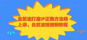 自然流打造IP正确方法线上课，自然流短视频教程-520资源库