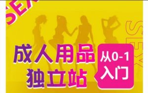成人用品独立站从0-1入门，成品独立站运营全流程教学，七大好卖成品独立站推荐-520资源库
