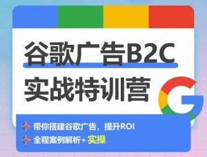谷歌广告B2C实战特训营,500+谷歌账户总结经验,实战演示如何从0-1搭建广告账户-520资源库